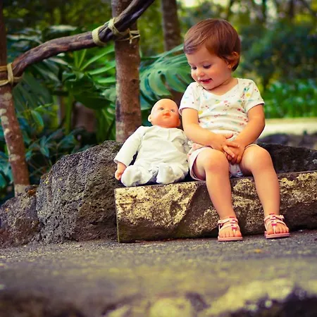 Quinta Do Paraíso *