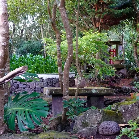 Quinta Do Paraiso * Porto Martins