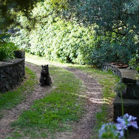 Quinta Do Paraíso Сasa de vacaciones Porto Martins