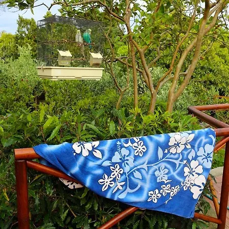 Quinta Do Paraiso Casa vacanze